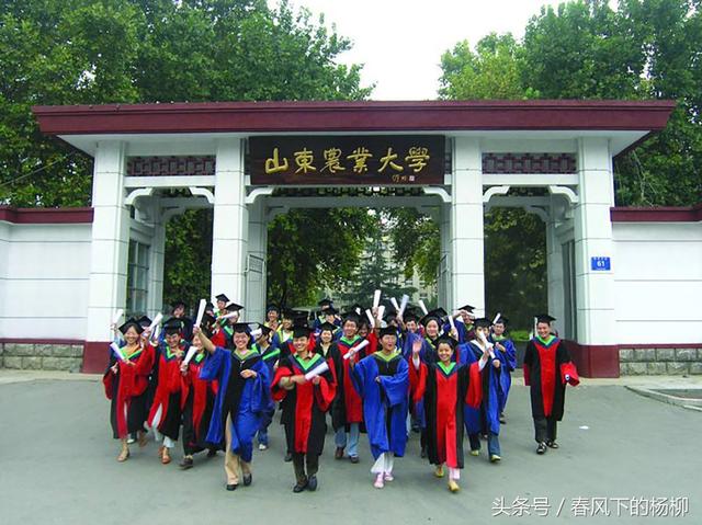 山东农业大学是一本还是二本，山东农业大学2022录取分数线（山东最容易考的五所公办本科大学）