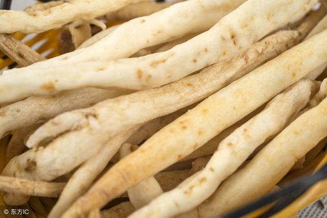 沙参叶的功效与作用，沙参的功效与作用（沙参的作用和功效，建议收藏）