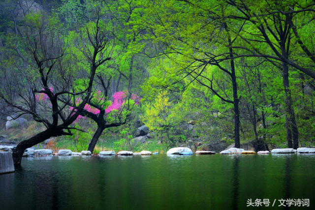 世外桃源出自，世外桃源出自陶渊明的（陶渊明《桃花源记》）