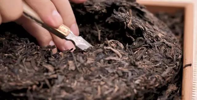 如何撬散普洱茶，普洱茶怎么敲碎（再也不用担心把茶饼撬坏了）