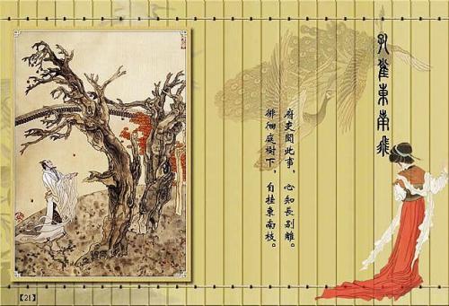 孔雀东南飞赏析，孔雀东南飞原文（读《孔雀东南飞》）