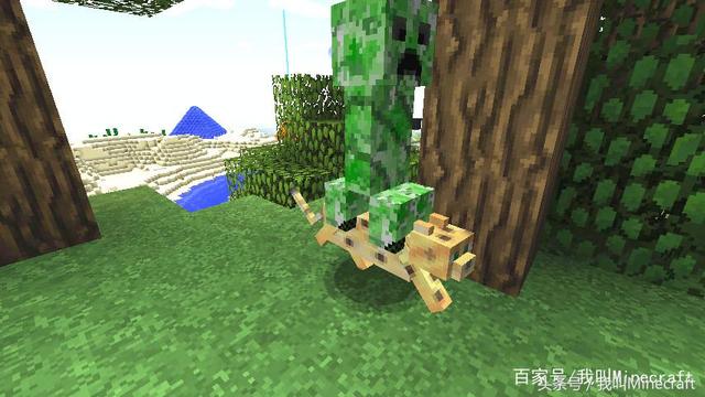 我的世界羊驼怎么骑，我的世界羊驼怎么骑乘（《我的世界》令玩家“瑟瑟发抖”的7大组合）