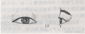 什么是丹凤眼，什么是丹凤眼什么是双凤眼（桃花眼、丹凤眼、杏眼、你知道自己的眼型是什么吗）