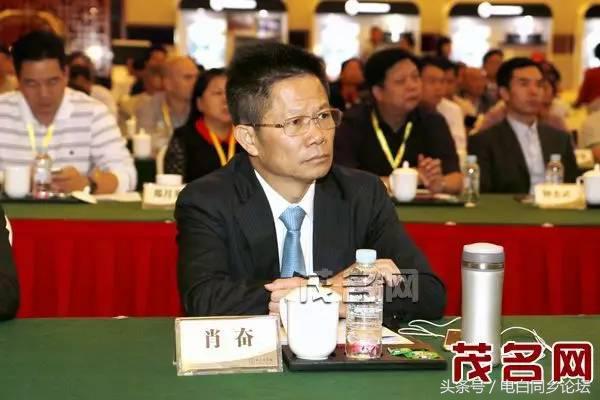 李伟波 深圳，李伟波是电白哪里人（200亿能成茂名首富吗）