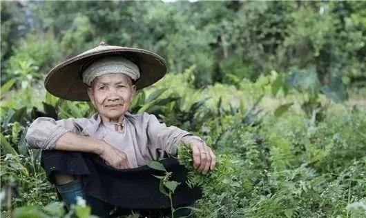 傣族的特点，云南十多个地方傣族照片收集（傣族的特点和风俗图片）