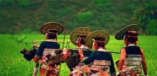 傣族的特点，云南十多个地方傣族照片收集（傣族的特点和风俗图片）