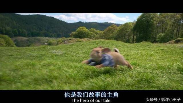 卡通漫画图片兔子，兔子漫画 卡通图片（凭什么一只兔子可以这么可爱）