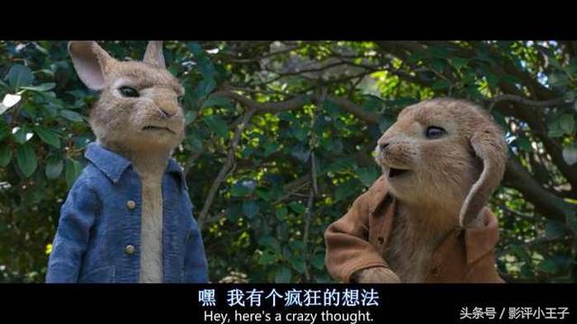 卡通漫画图片兔子，兔子漫画 卡通图片（凭什么一只兔子可以这么可爱）