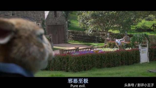 卡通漫画图片兔子，兔子漫画 卡通图片（凭什么一只兔子可以这么可爱）