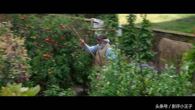 卡通漫画图片兔子，兔子漫画 卡通图片（凭什么一只兔子可以这么可爱）