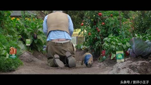 卡通漫画图片兔子，兔子漫画 卡通图片（凭什么一只兔子可以这么可爱）