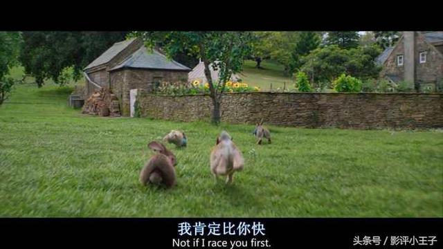 卡通漫画图片兔子，兔子漫画 卡通图片（凭什么一只兔子可以这么可爱）