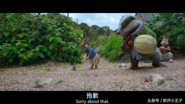 卡通漫画图片兔子，兔子漫画 卡通图片（凭什么一只兔子可以这么可爱）