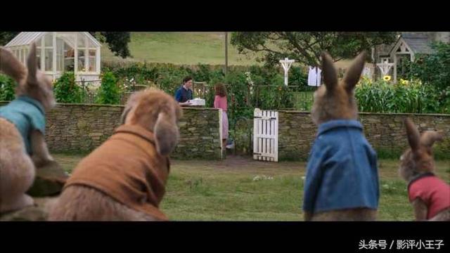 卡通漫画图片兔子，兔子漫画 卡通图片（凭什么一只兔子可以这么可爱）