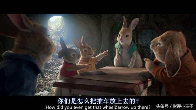 卡通漫画图片兔子，兔子漫画 卡通图片（凭什么一只兔子可以这么可爱）