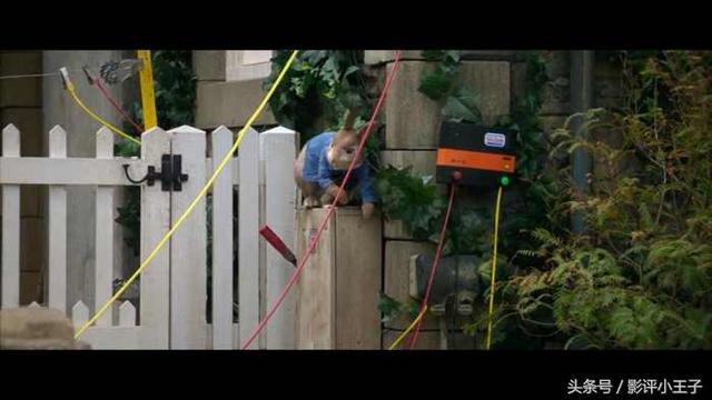 卡通漫画图片兔子，兔子漫画 卡通图片（凭什么一只兔子可以这么可爱）