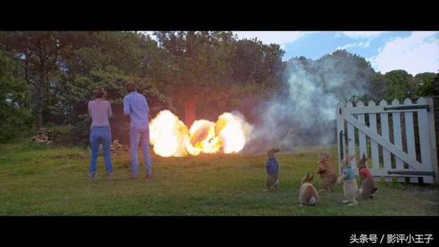 卡通漫画图片兔子，兔子漫画 卡通图片（凭什么一只兔子可以这么可爱）