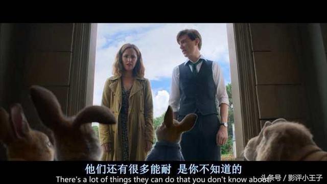 卡通漫画图片兔子，兔子漫画 卡通图片（凭什么一只兔子可以这么可爱）