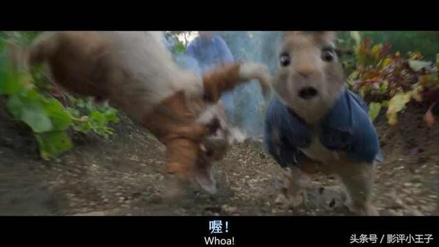 卡通漫画图片兔子，兔子漫画 卡通图片（凭什么一只兔子可以这么可爱）