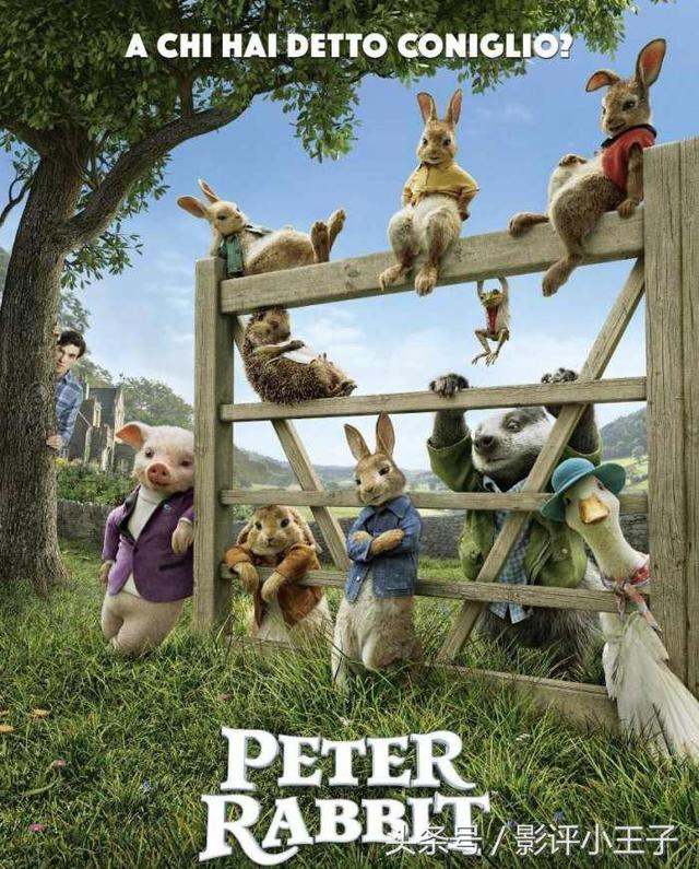 卡通漫画图片兔子，兔子漫画 卡通图片（凭什么一只兔子可以这么可爱）