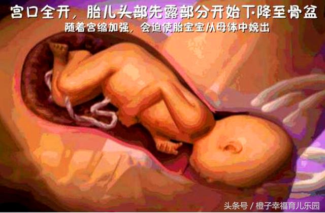 生孩子顺产正面，孕妇顺产分娩（孕妇顺产分娩全过程）