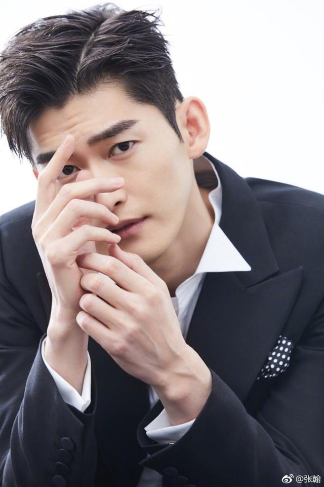 张翰评价占南弦，关于占南弦那让人无法忽视的抬头纹