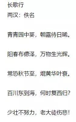 芊芊学子和莘莘学子怎么读，莘莘学子的读音shenshen还是xinxin（还在嘲笑北大校长）