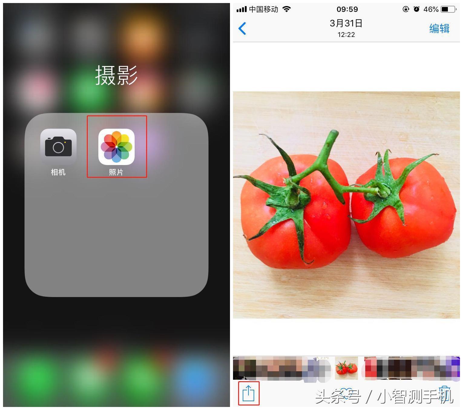 苹果手机壁纸怎么设置（iphone个性化主题桌面）