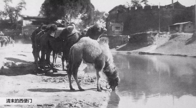 中门是什么意思，佳能单反相机中B门是什么意思（一文看懂北京的“门”！）