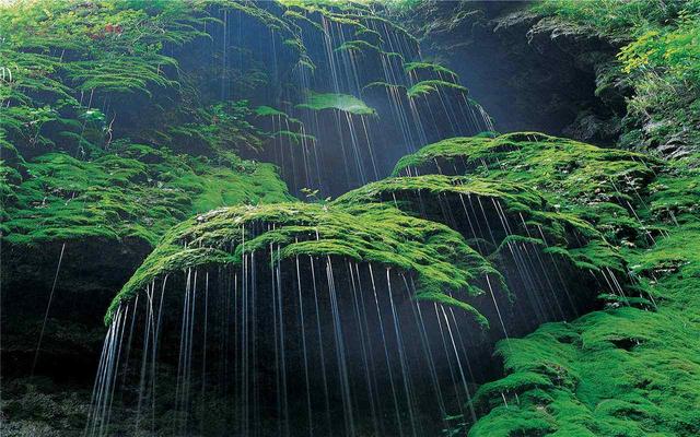 河南旅游景点排行，河南景点排行榜前十名（河南省最具影响力的10大景区）