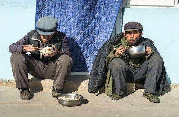 养龟千万别养双数，养龟为什么不能养双（养龟为什么不能养双数）