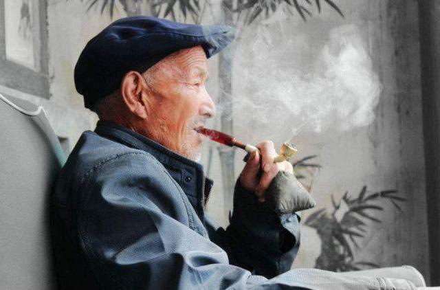 养龟千万别养双数，养龟为什么不能养双（养龟为什么不能养双数）