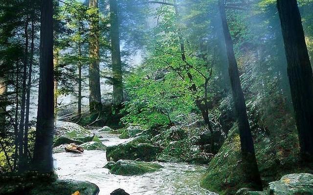 河南旅游景点排行，河南景点排行榜前十名（河南省最具影响力的10大景区）