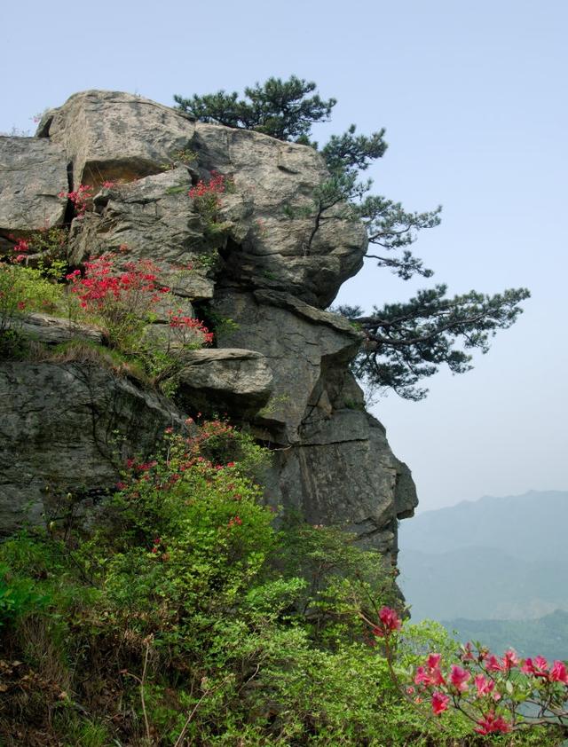 河南旅游景点排行，河南景点排行榜前十名（河南省最具影响力的10大景区）