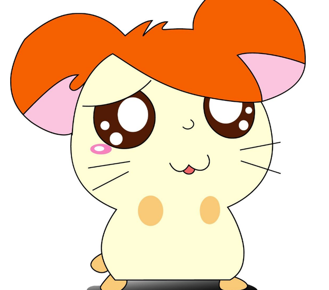 84年属鼠人最旺的年龄，84年属鼠后半生靠谁（这几个年份出生的大金鼠）