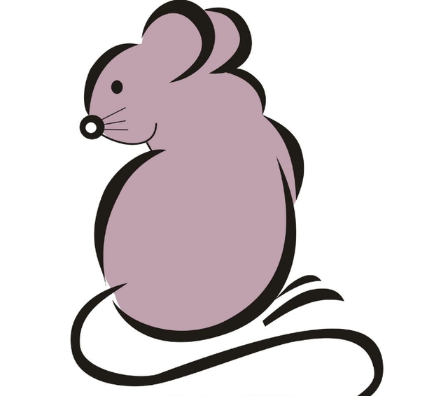 84年属鼠人最旺的年龄，84年属鼠后半生靠谁（这几个年份出生的大金鼠）