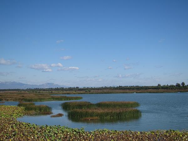 北京城八区(北京买房子首选哪个区)