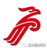 csn是什么意思，csn是什么意思网络用语（民航知识科普—37家航空公司logo释义汇总）
