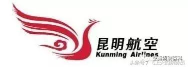 csn是什么意思，csn是什么意思网络用语（民航知识科普—37家航空公司logo释义汇总）