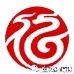 csn是什么意思，csn是什么意思网络用语（民航知识科普—37家航空公司logo释义汇总）