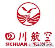 csn是什么意思，csn是什么意思网络用语（民航知识科普—37家航空公司logo释义汇总）