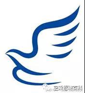 csn是什么意思，csn是什么意思网络用语（民航知识科普—37家航空公司logo释义汇总）