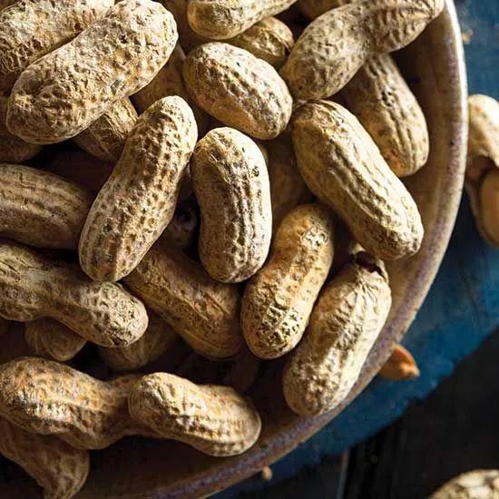 烟放冰箱里好不好，烟可以放冰箱吗（衣服一年不返潮、不长虫）