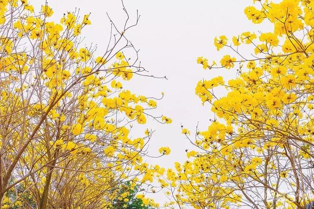 惠州是哪里的，惠州是哪里的哪个省的（这就是惠州！）