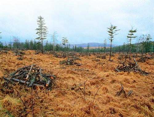 我国酸雨面积区占国土面积的，我国酸雨面积区占国土面积的40%（雨水究竟要多酸才能称为“酸雨”呢）