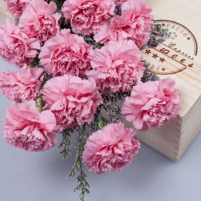 中国人送花的讲究，在中国送花有什么忌讳（这些送花禁忌你都了解吗）