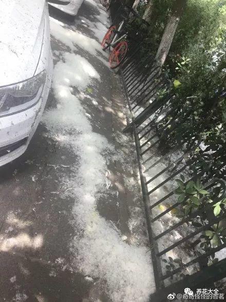 如何净化室内的空气，如何净化室内空气（就能打造一个室内氧吧）