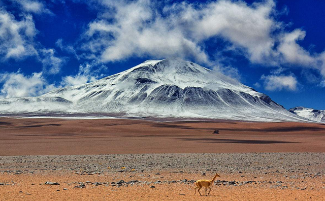 青藏高原海拔多少米高，丽江海拔多少米高（世界上两大高海拔高原）