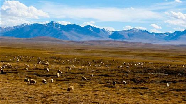 青藏高原海拔多少米高，丽江海拔多少米高（世界上两大高海拔高原）