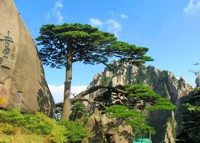 黄山市别称是什么，黄山市的简称是什么（看完你会更爱TA）